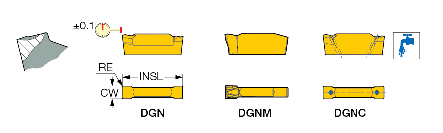 DGN 2002C IC1010